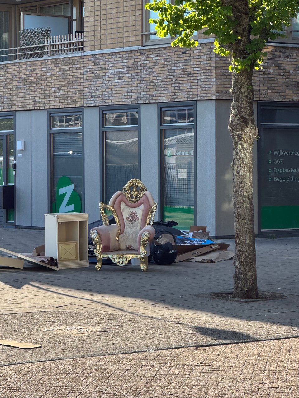 Majestic throne 😂😂