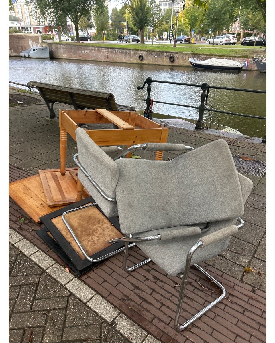 Looking good and like they just need to dry