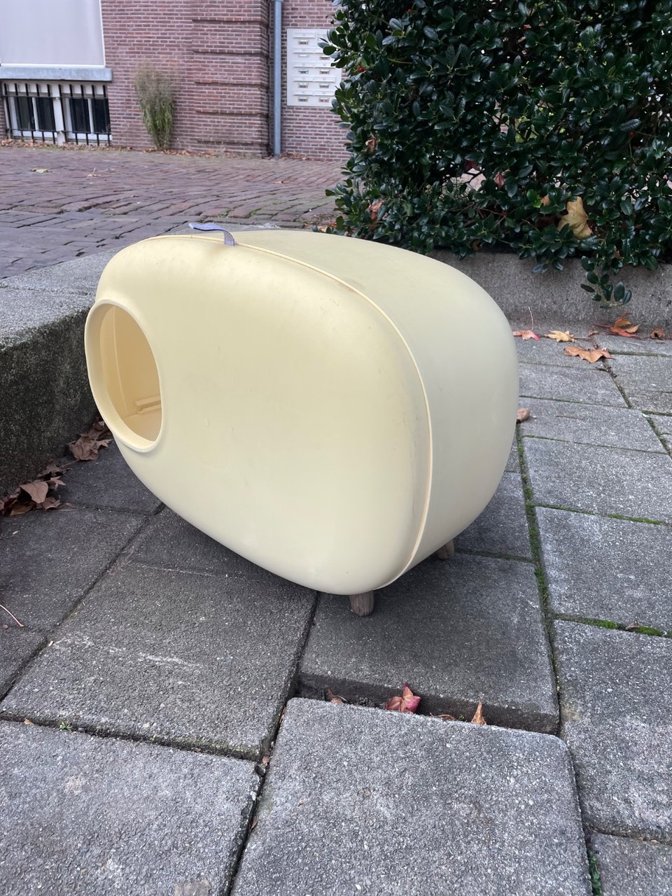 Pet home or litterbox, never used as a litterbox