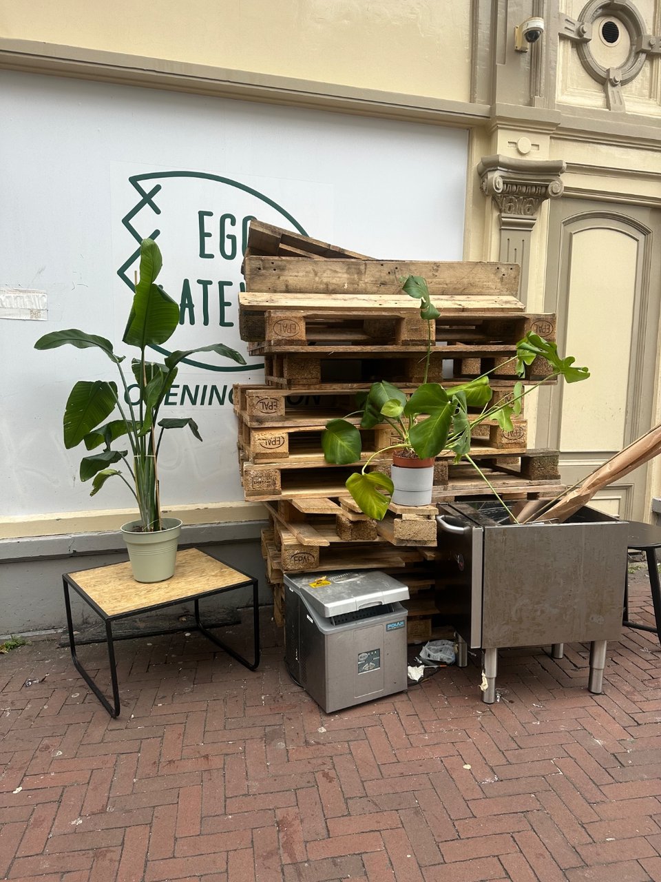 Plants and coffee table
