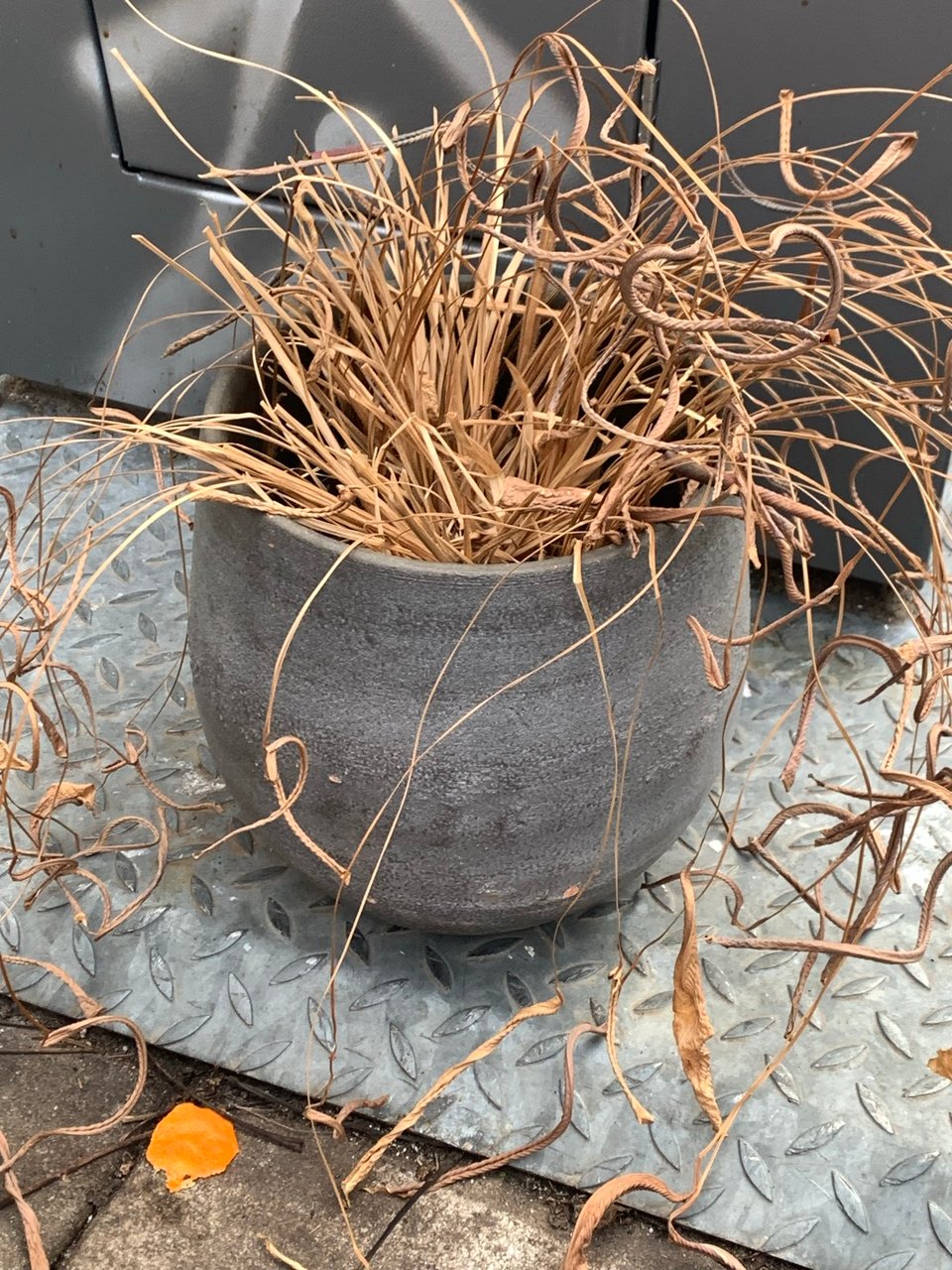 The plant is dead but the pot is nice