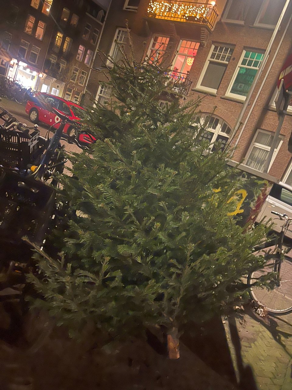 Grote kerstboom 🌲