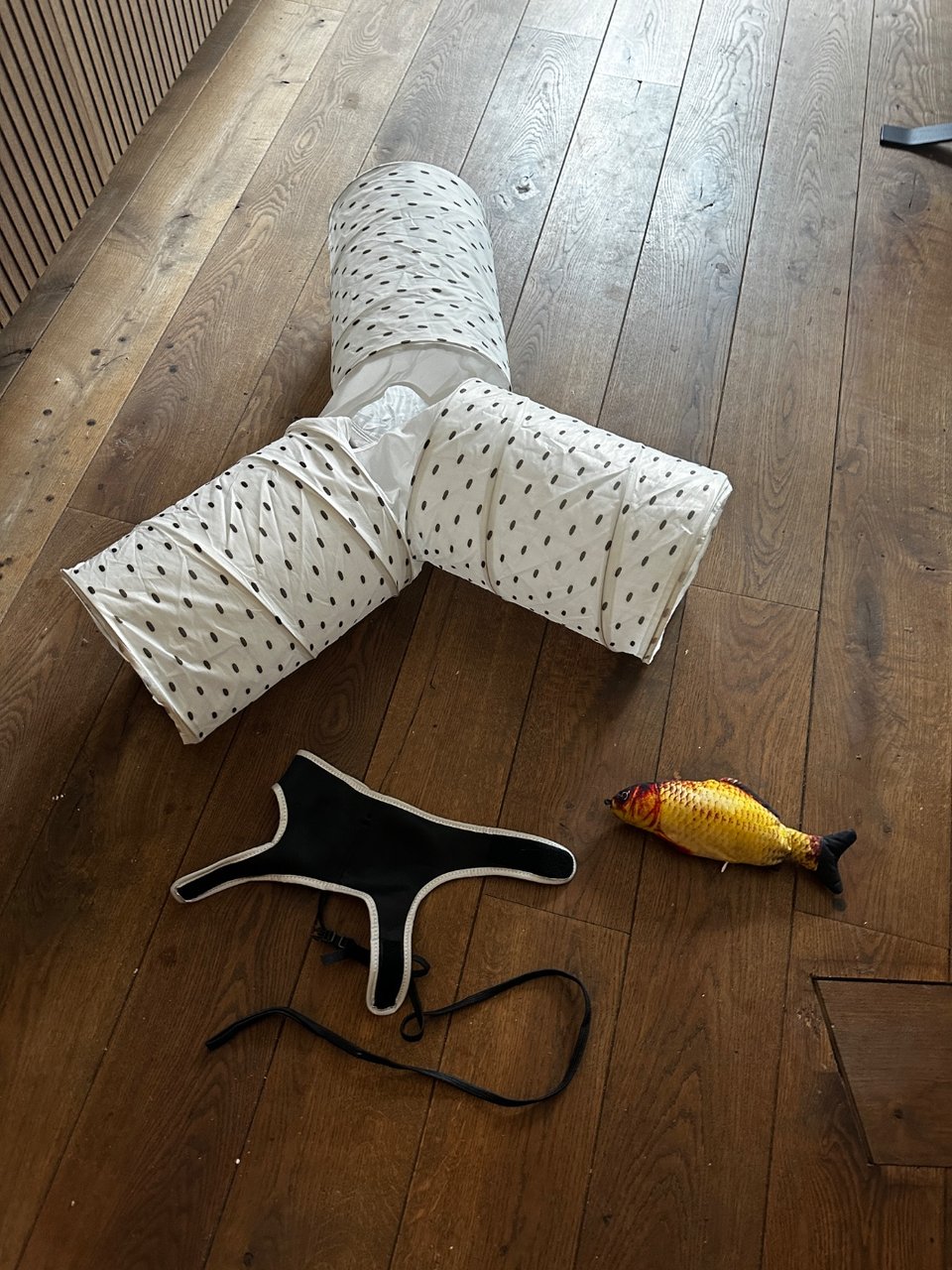 Kattentunnel, tuigje en speeltje - om op te halen