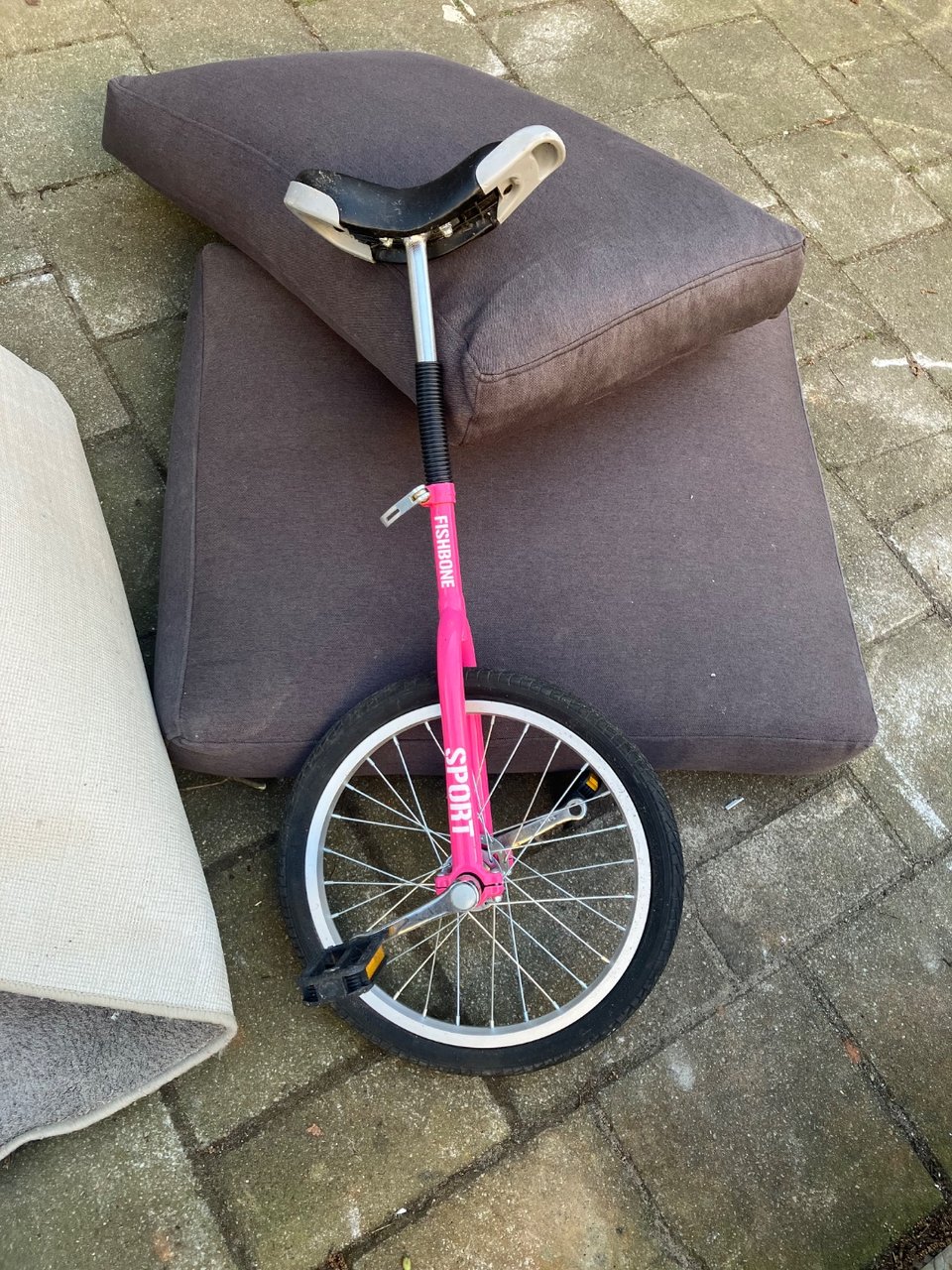 Pay buddha some respect and give them a new home. Or get the unicycle and give it a new inner tire so some kid can learn to ride it.

Both next to the containers at Kuinderstraat (near no. 48/50).