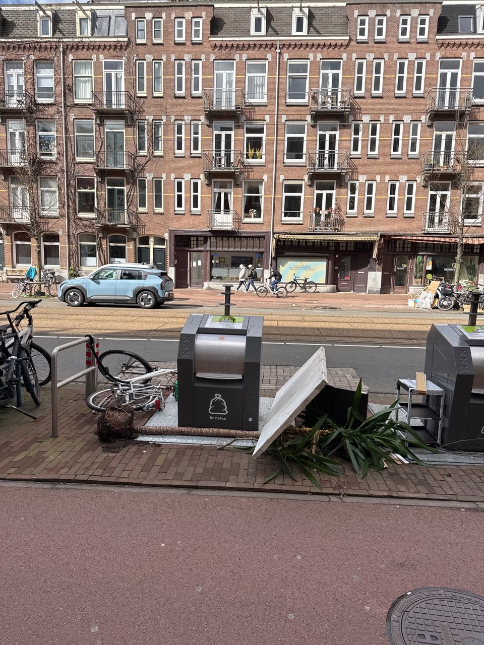 Huge plant, 2 meters and looks healthy!