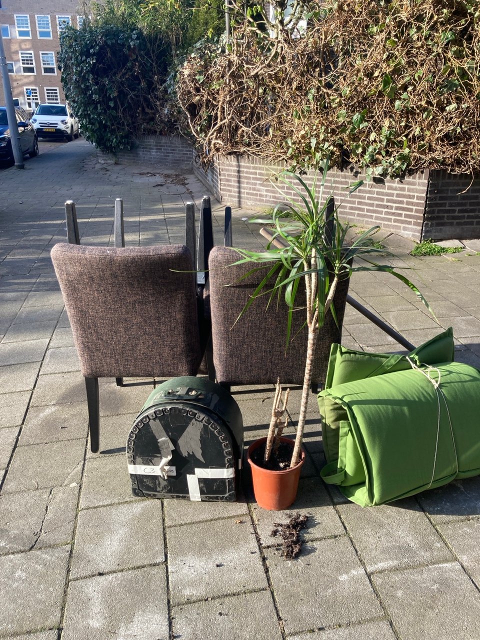 Looking for a new home!