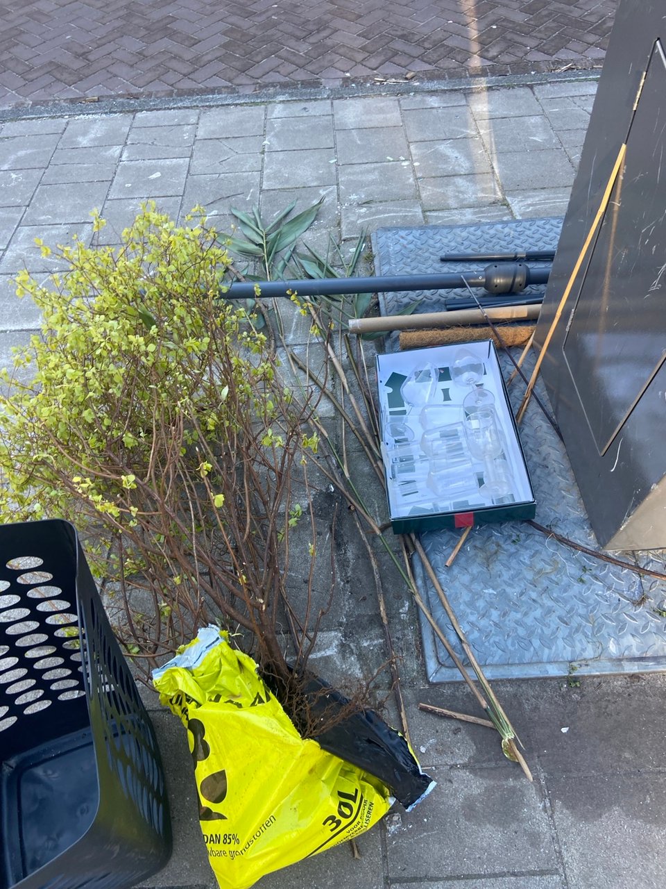 Free plant and glassware incl. Wine glasses from the brand FEST