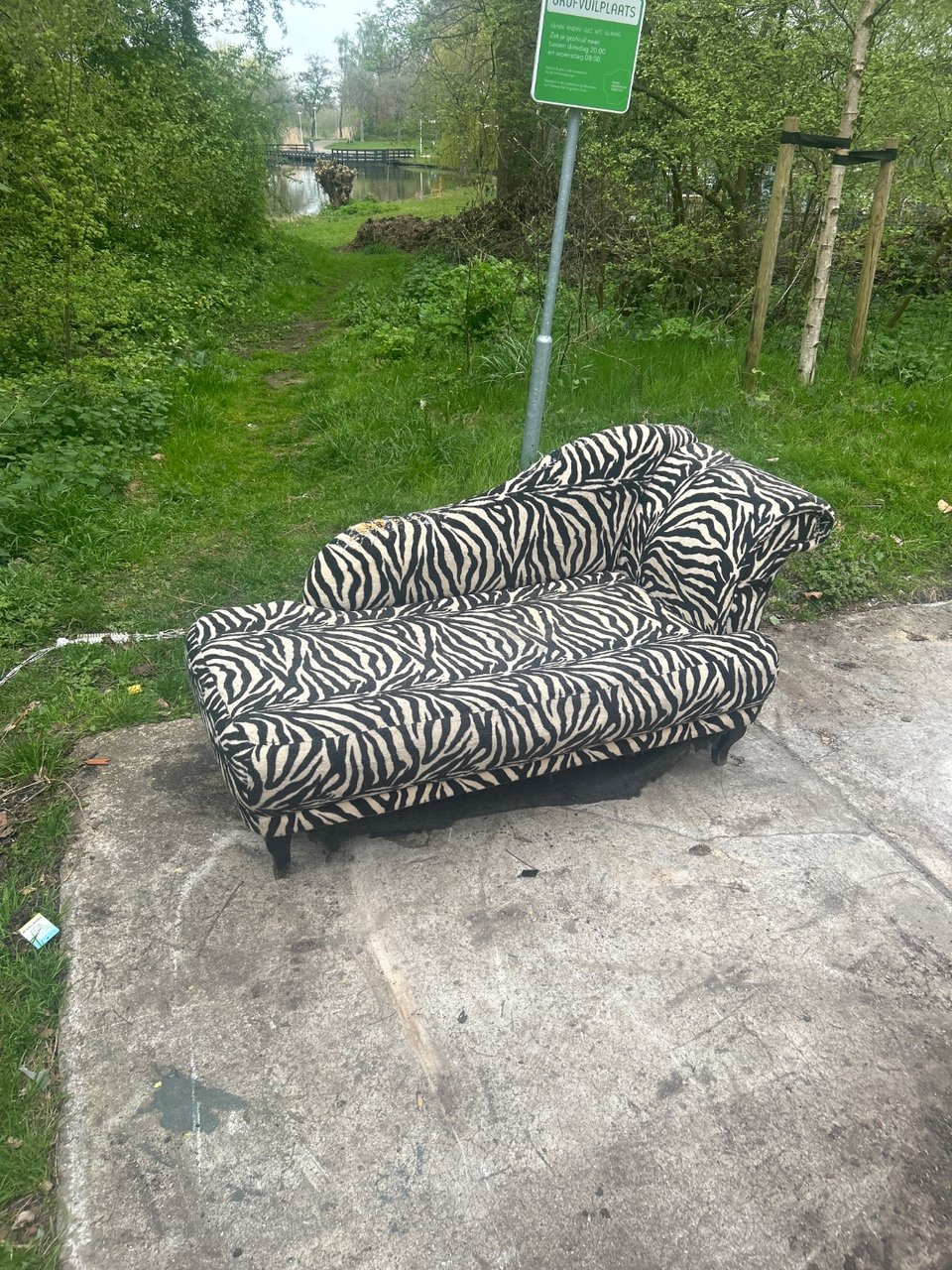 Cute sofa who needs some love