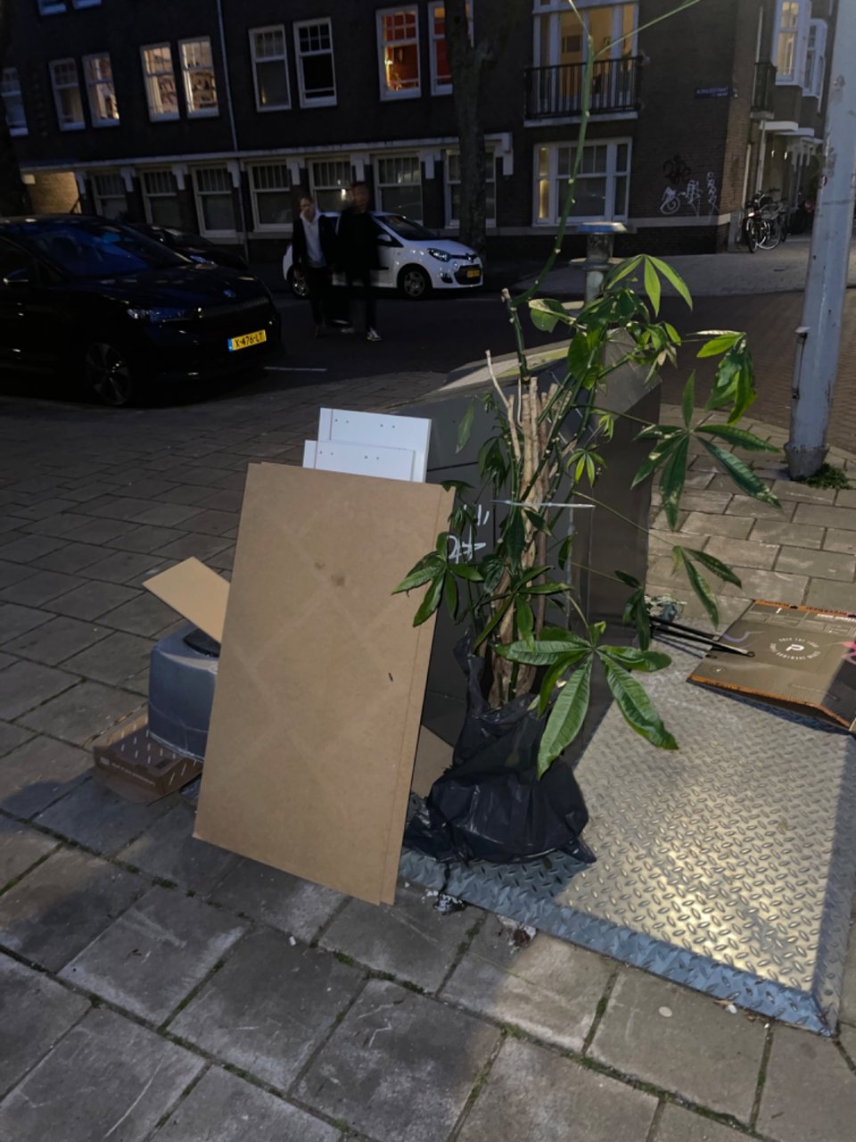 Plantje zonder pot wilt zoekt huis