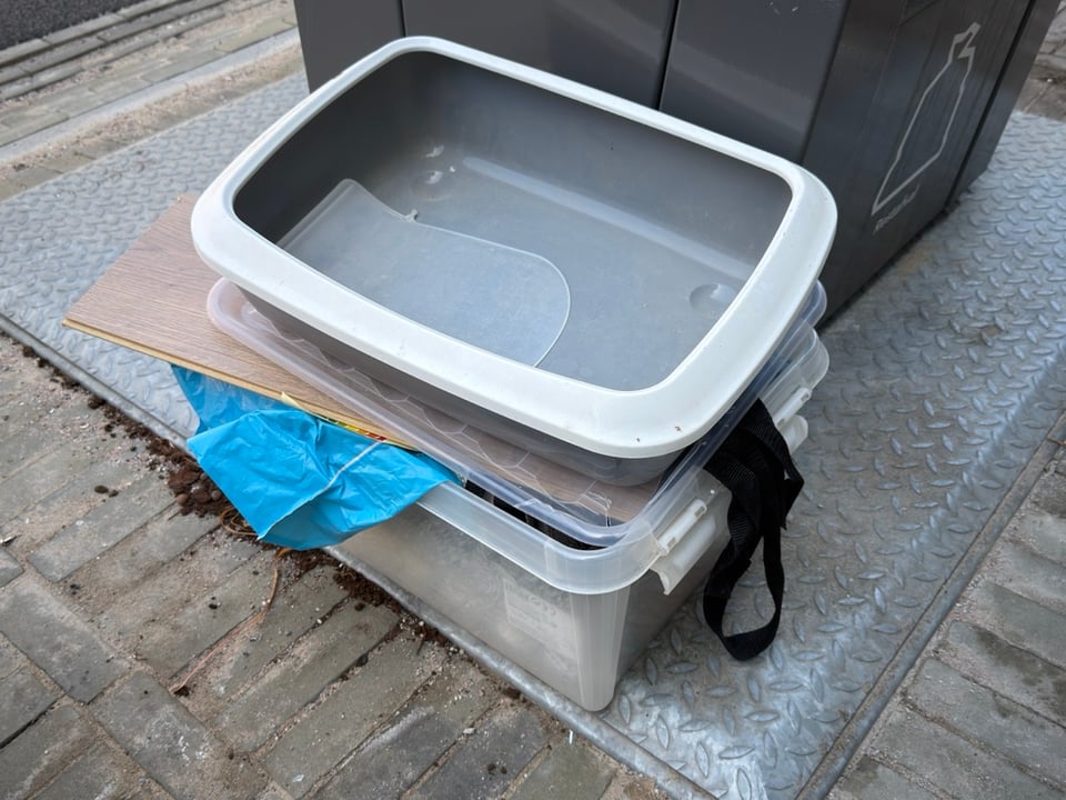 cat litter box and paper ornaments in the plastic container
