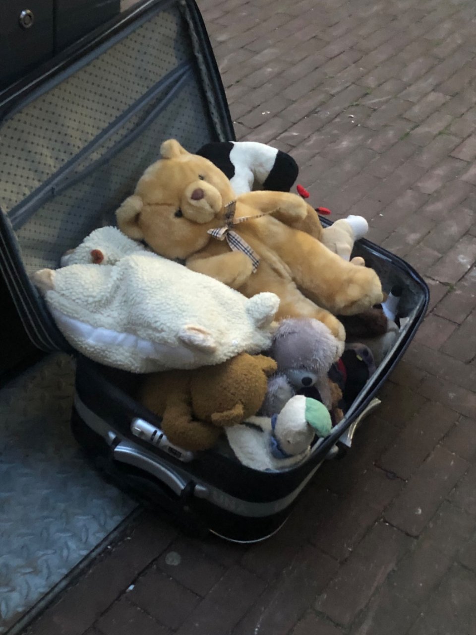 Kijk hoe schattig 🧸