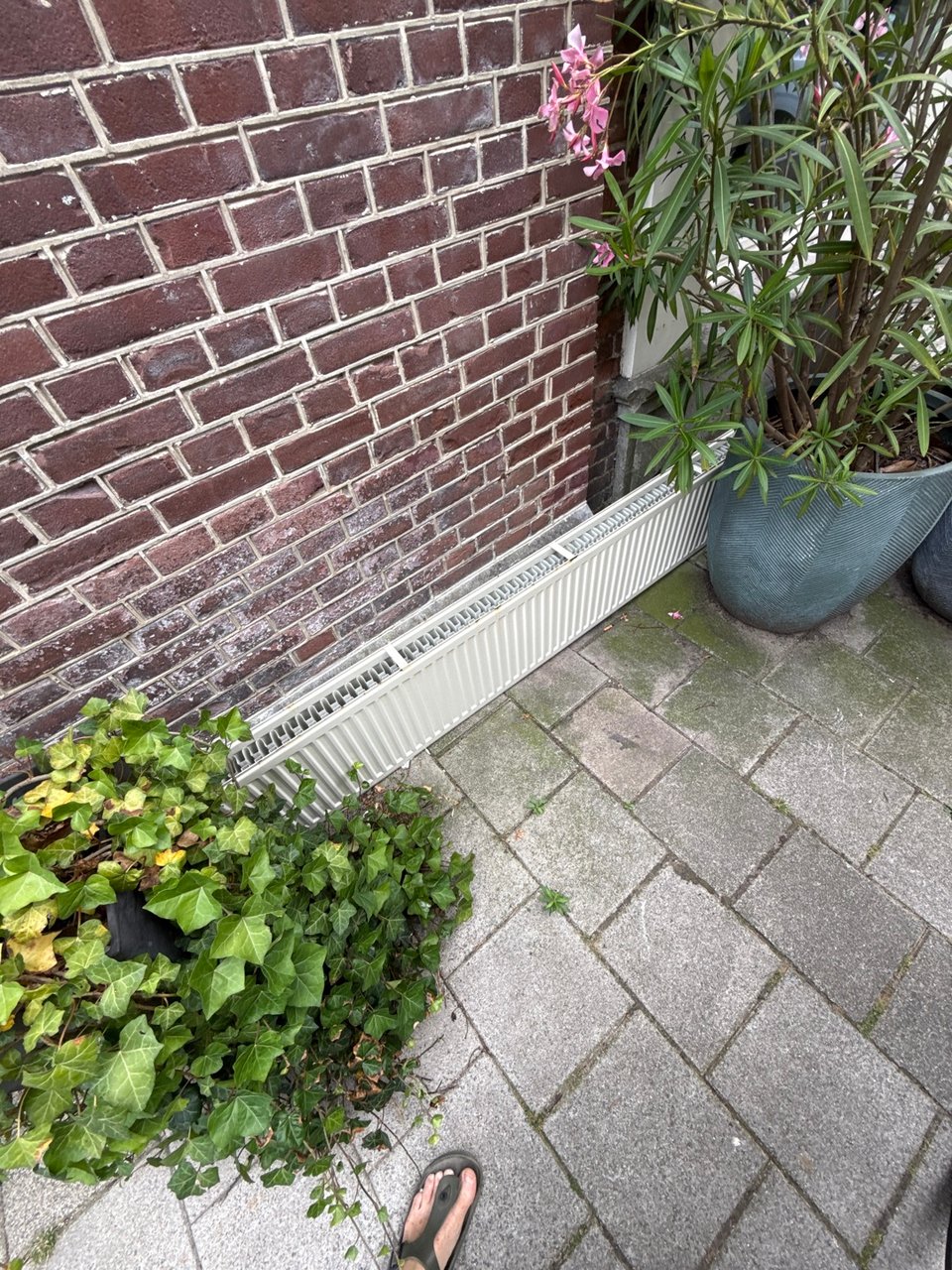 Radiator 223x40 type 22