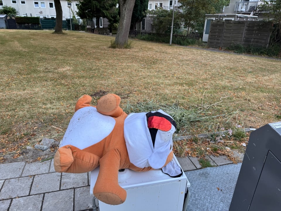 Very big (50cm) dog plushie!