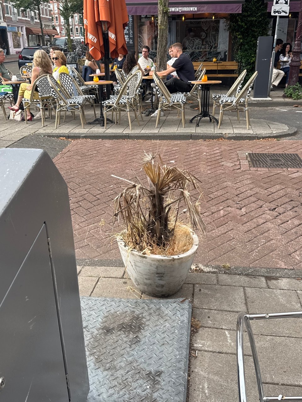 Large plant pot