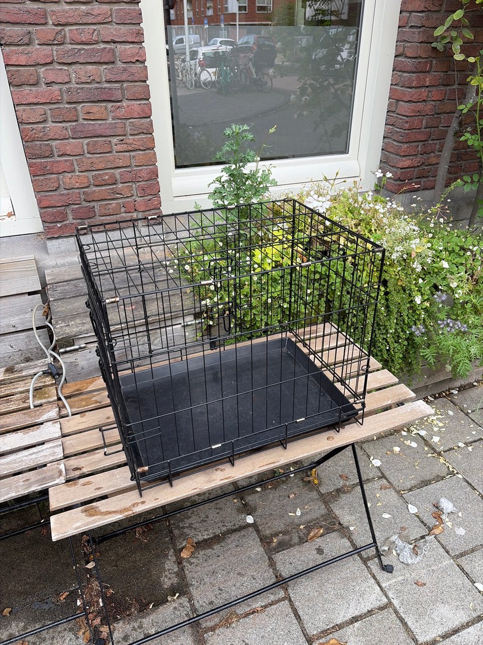 Dog bench