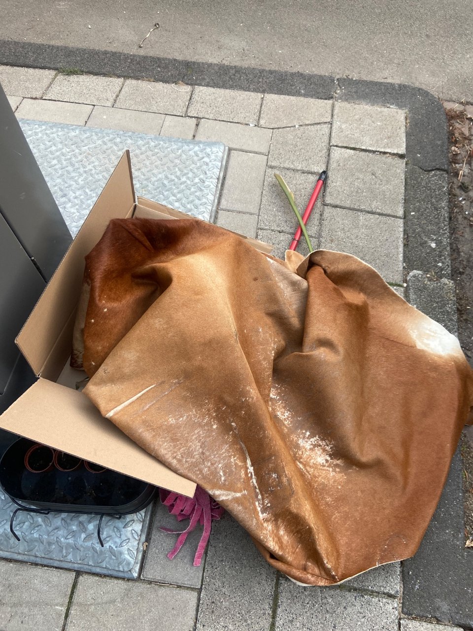 Gebruikt koeienkleed