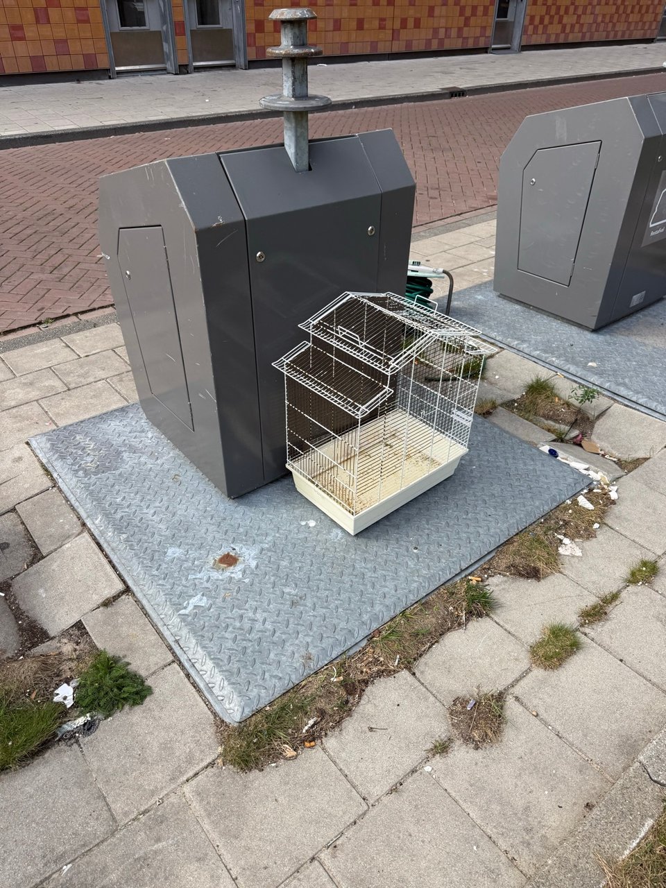 Bird cage