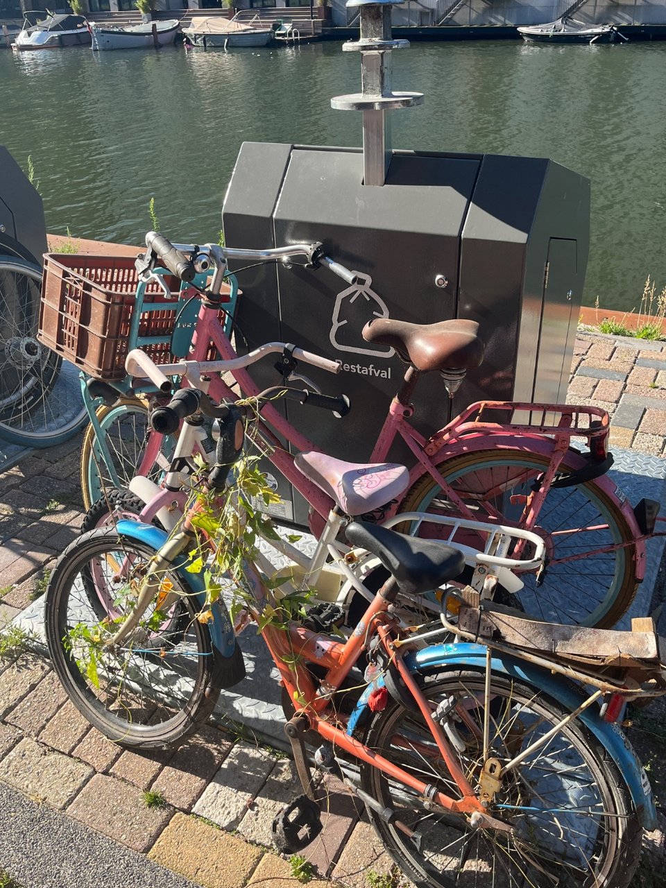 5 meisjes fietsen