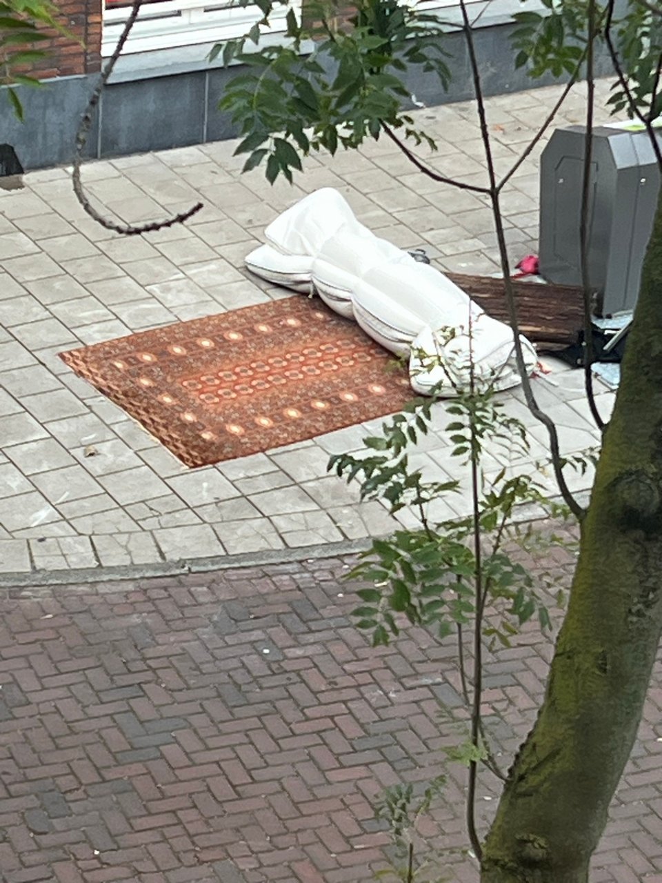 Prachtig kleed voor een winkel o.i.d.