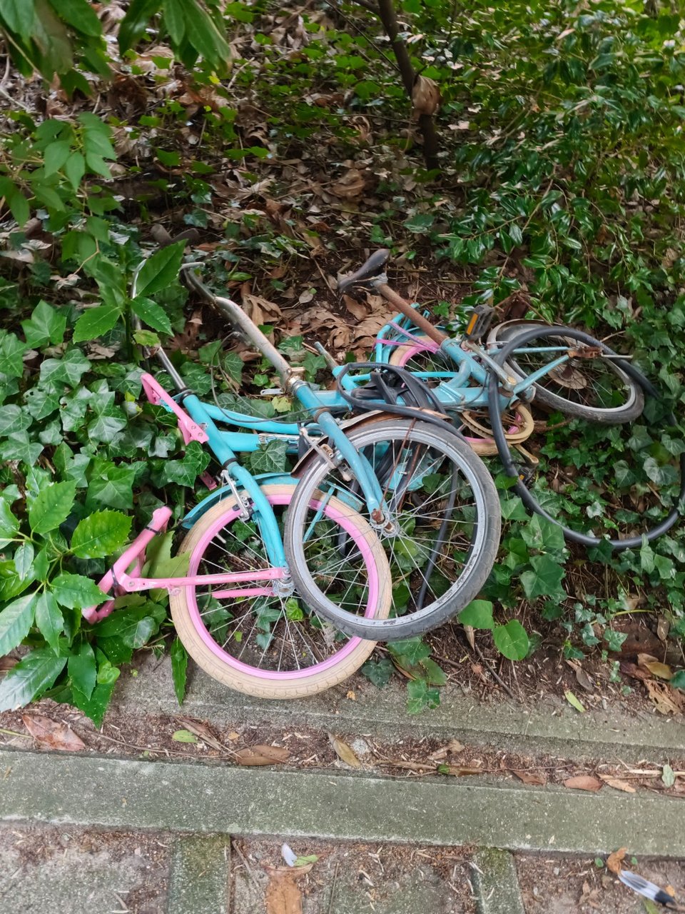 very rusty folding bike medium sized and children's bike small.